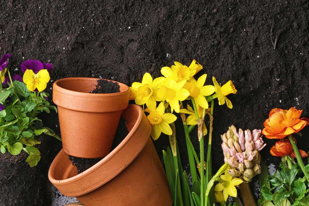 WHICH SOIL TYPE IS BEST FOR GROWING MOST PLANTS visual data 6