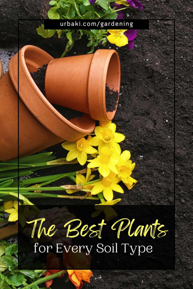 WHICH TYPE OF SOIL BEST FOR PLANTING visual data 7