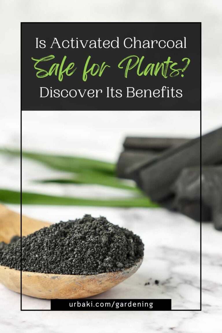 Curated visual reference: Visual Reference: Is Activated Charcoal Safe For Plants Discover Its Benefits