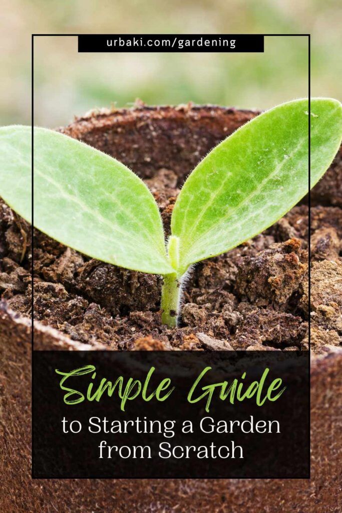 Simple Guide to Starting a Garden from Scratch
