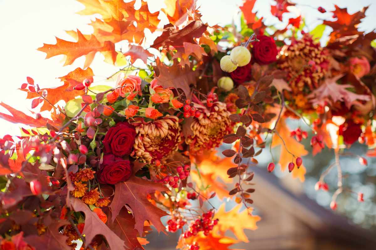 Top 8 Flowers to Plant for a Colorful Autumn Garden