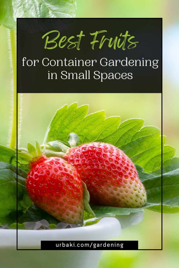 Best Fruits for Container Gardening in Small Spaces