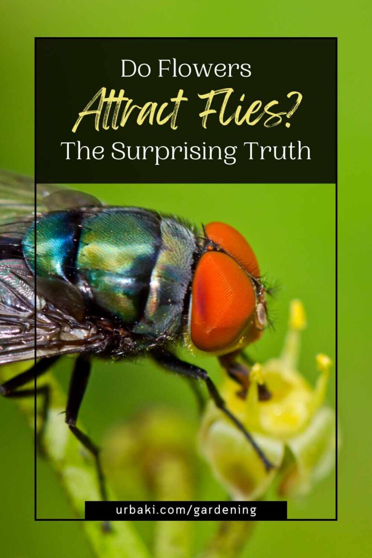 Do Flowers Attract Flies? The Surprising Truth
