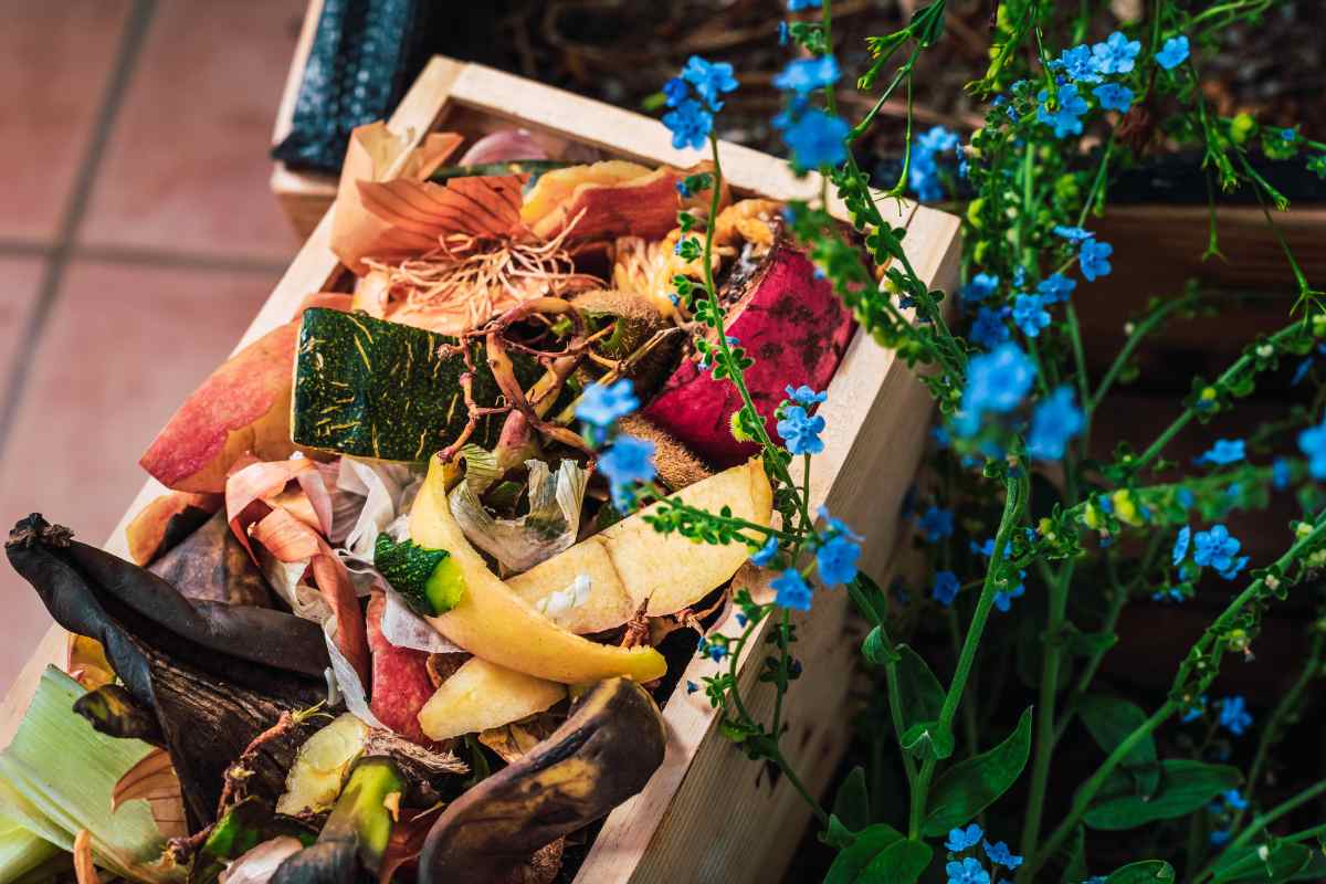 10 Clever Ways to Reuse Food Scraps in Your Garden