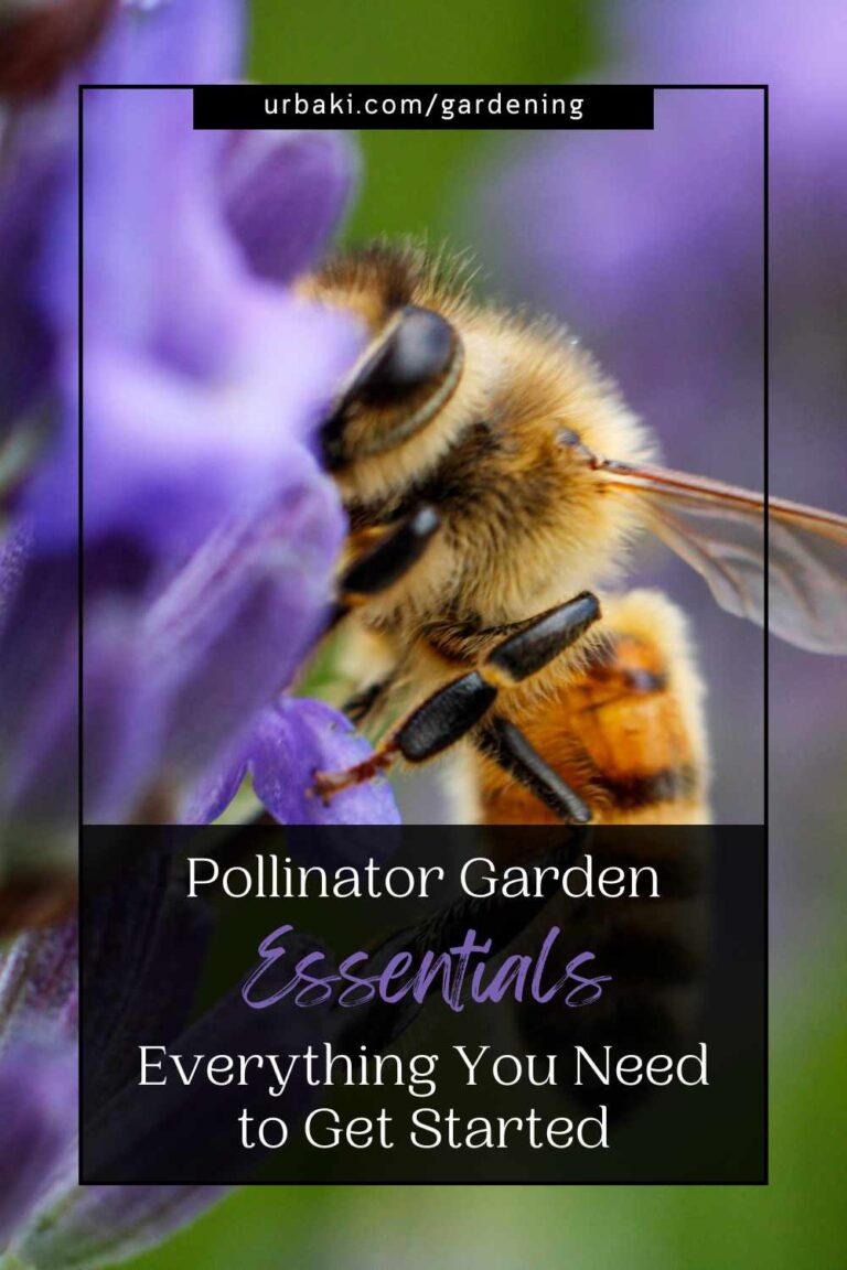 Pollinator Garden Essentials - Everything You Need to Get Started