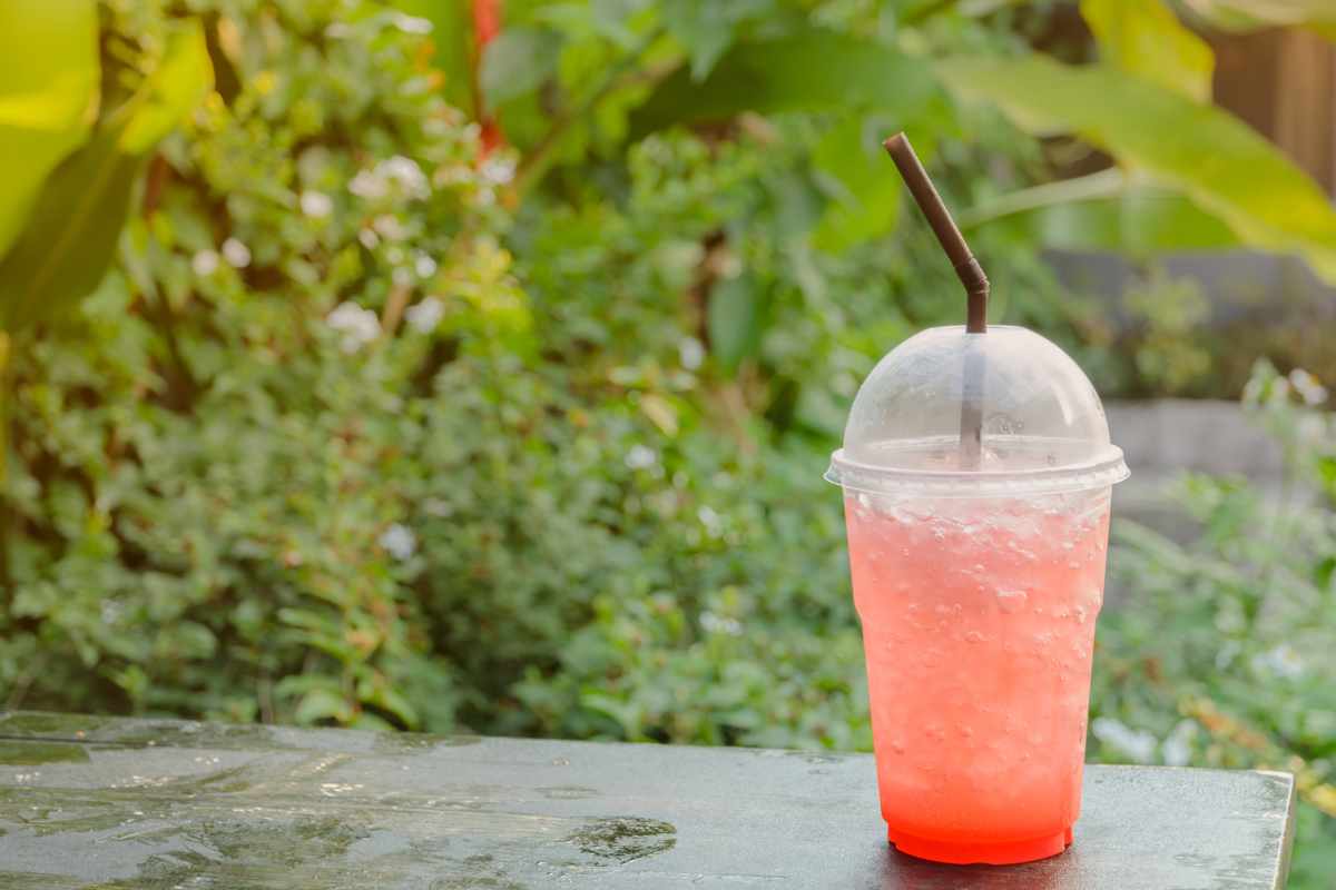 What Happens If You Water Plants with Soda?