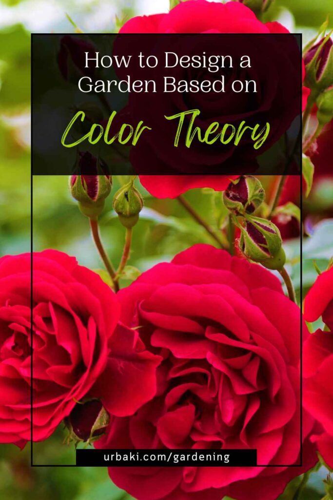 How to Design a Garden Based on Color Theory
