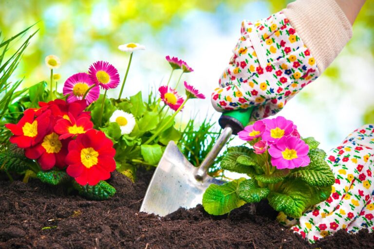 5 Link Tips To Grow Your Flower Garden