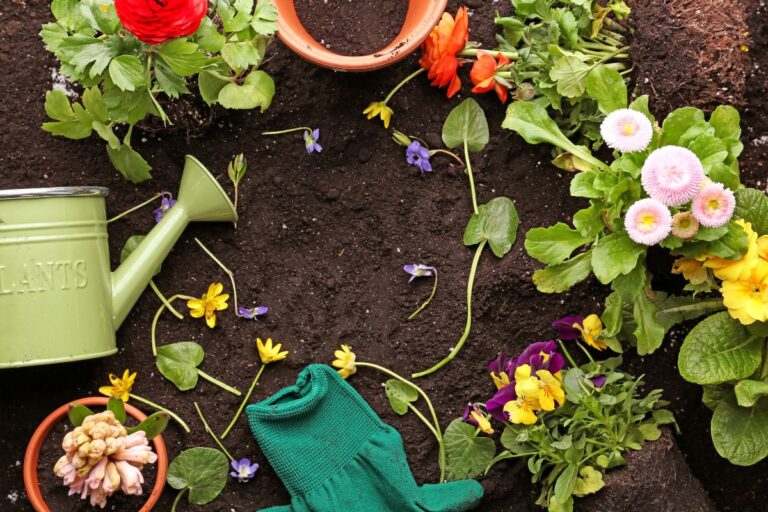 5 Link Tips To Grow Your Flower Garden