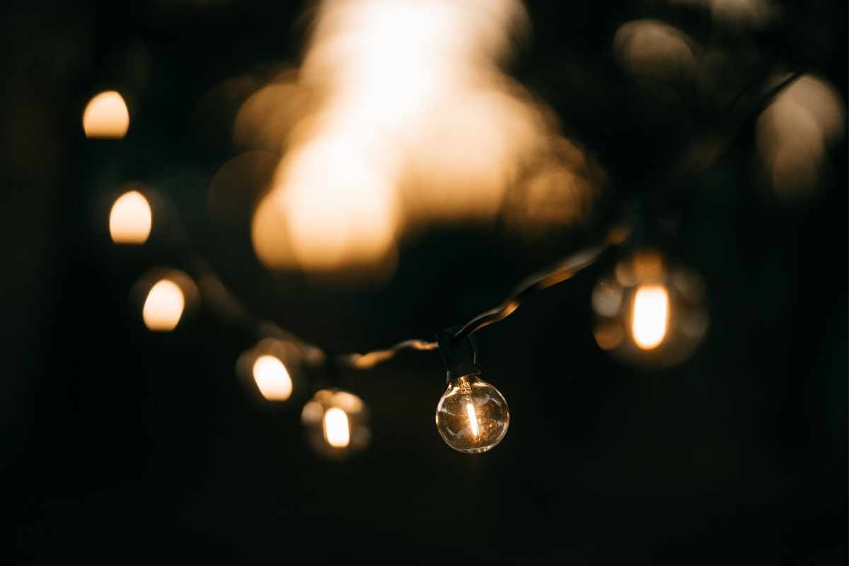 string lights in garden