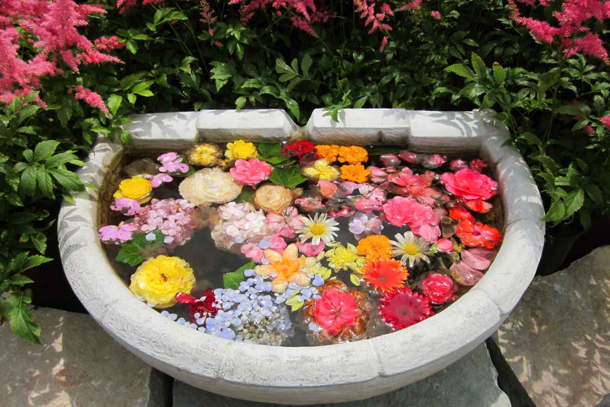 Overhead view of Birdbath Garden with lavender, marigolds, and petunias.