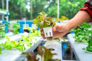 DIY Hydroponic Tower for Growing Food Indoors