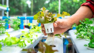 DIY Hydroponic Tower for Growing Food Indoors