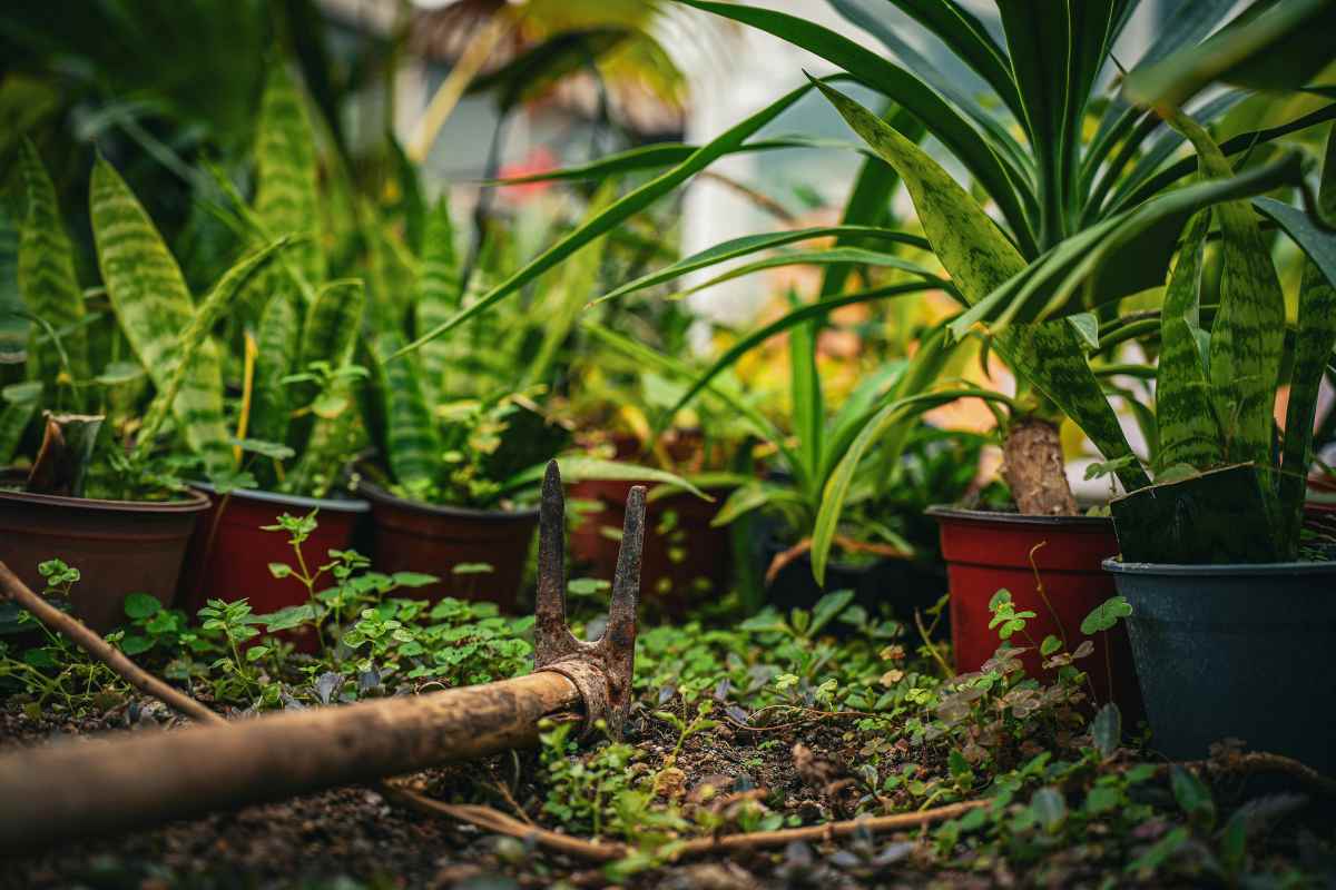 Flower Beds in Front of House — Front Garden Ideas