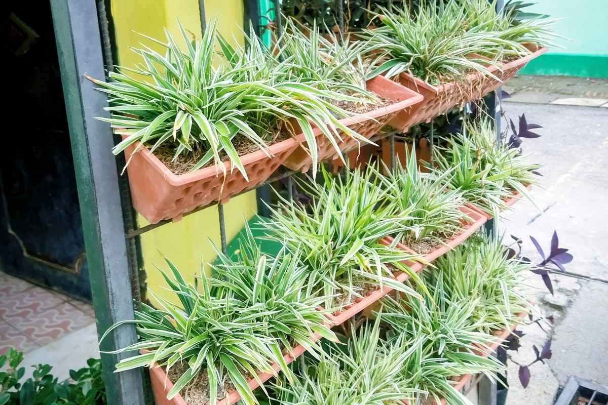 Vertical Grid for Small Home Garden Ideas Outdoor