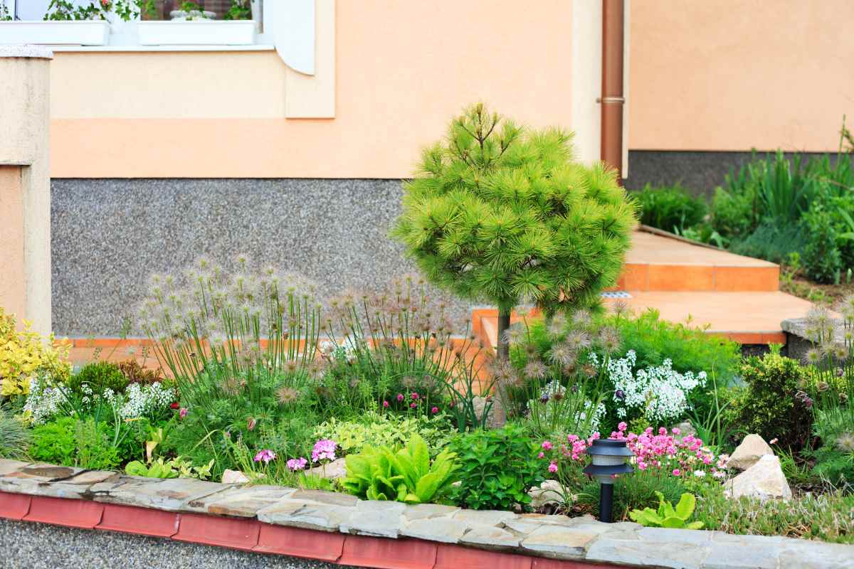 Terraced House Front Garden — Front Garden Ideas