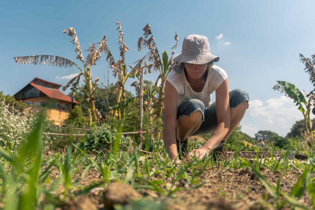 permaculture water saving ideas