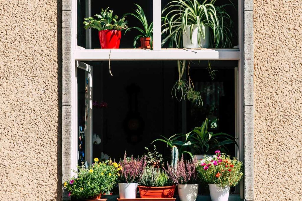container garden layout tips