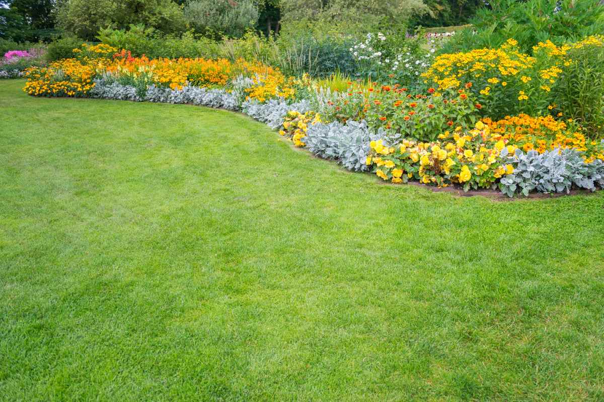front yard garden layout ideas
