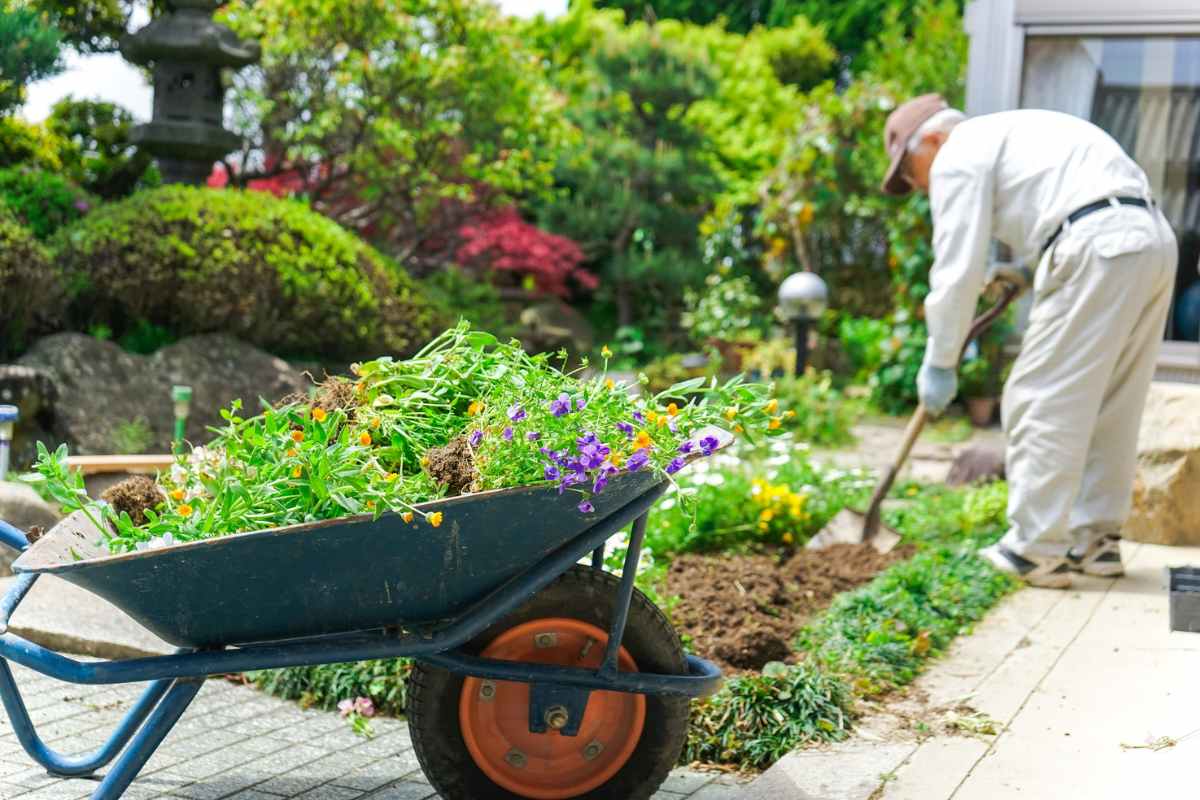 plant-based garden border ideas