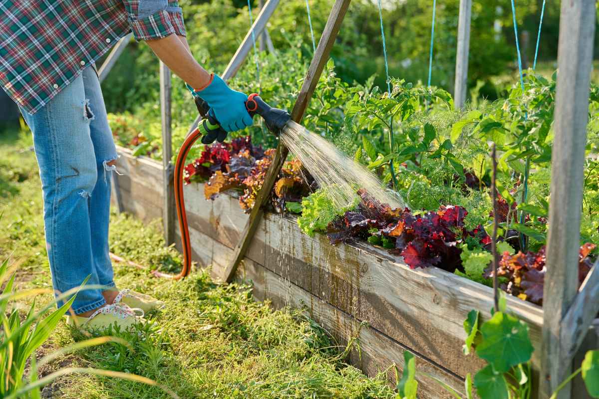 small vegetable garden layout