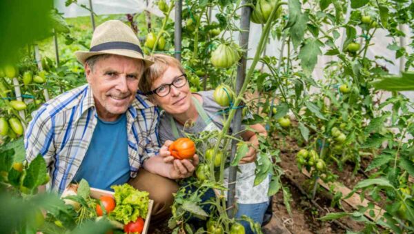 vegetable garden ideas