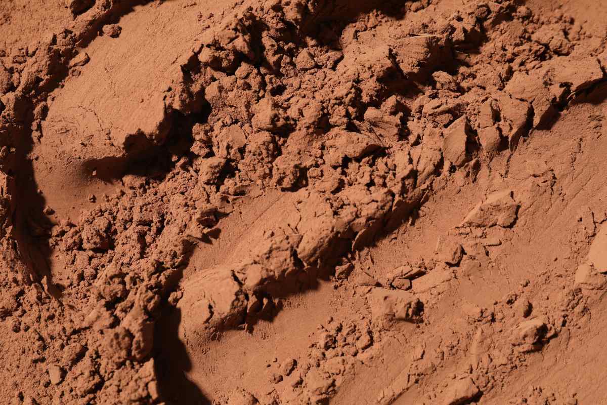 improve clay soil without digging