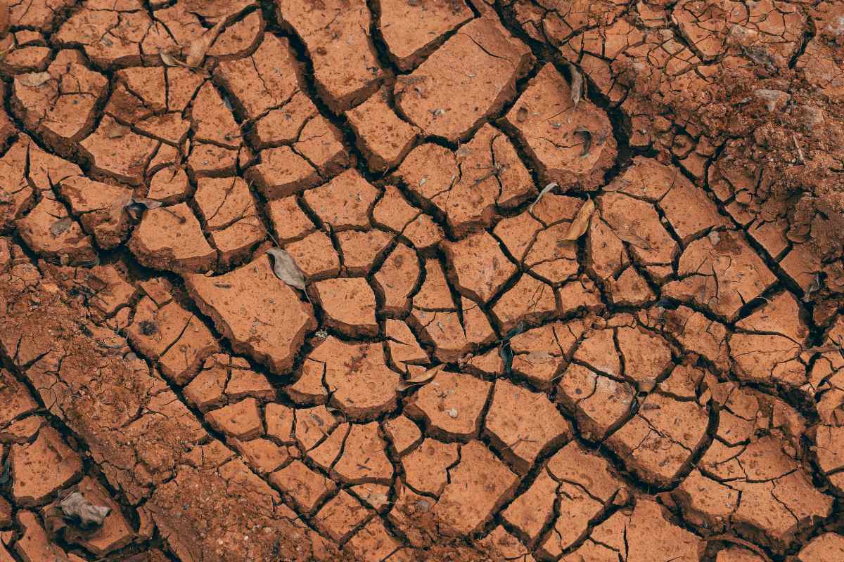 how to break up clay soil naturally