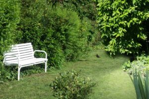 Mediterranean courtyard garden