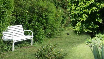Mediterranean courtyard garden