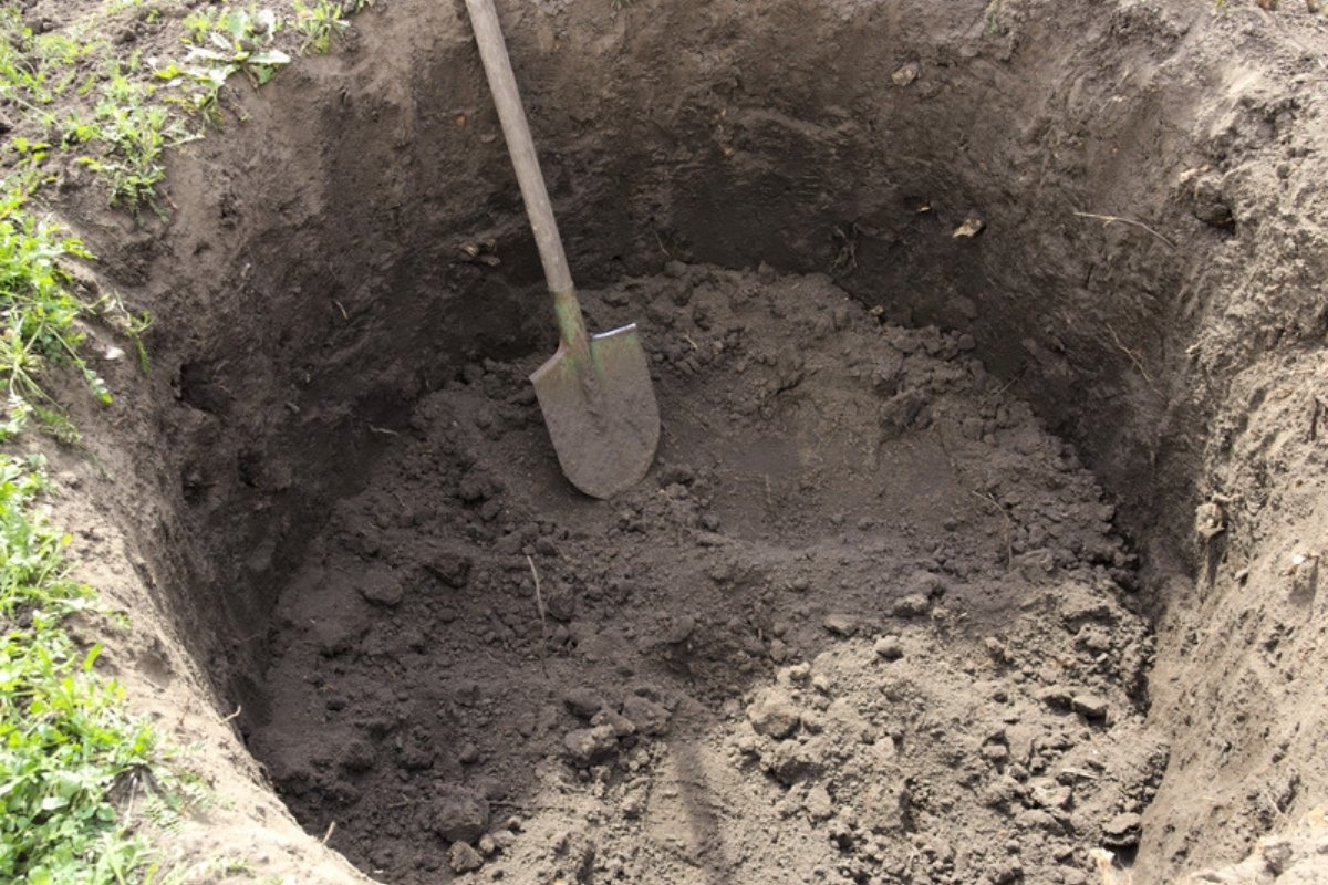 Planting hole dug in the garden with a shovel