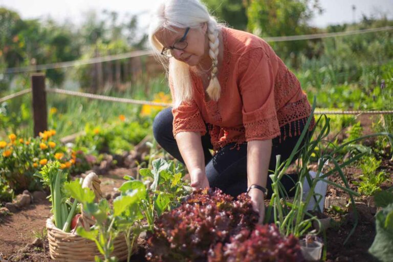 Plant These 15 Vegetables Now for a Fresh, Abundant Spring Harvest Next Year