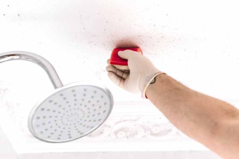 How to Get Rid of Black Mold Anywhere in Your Shower