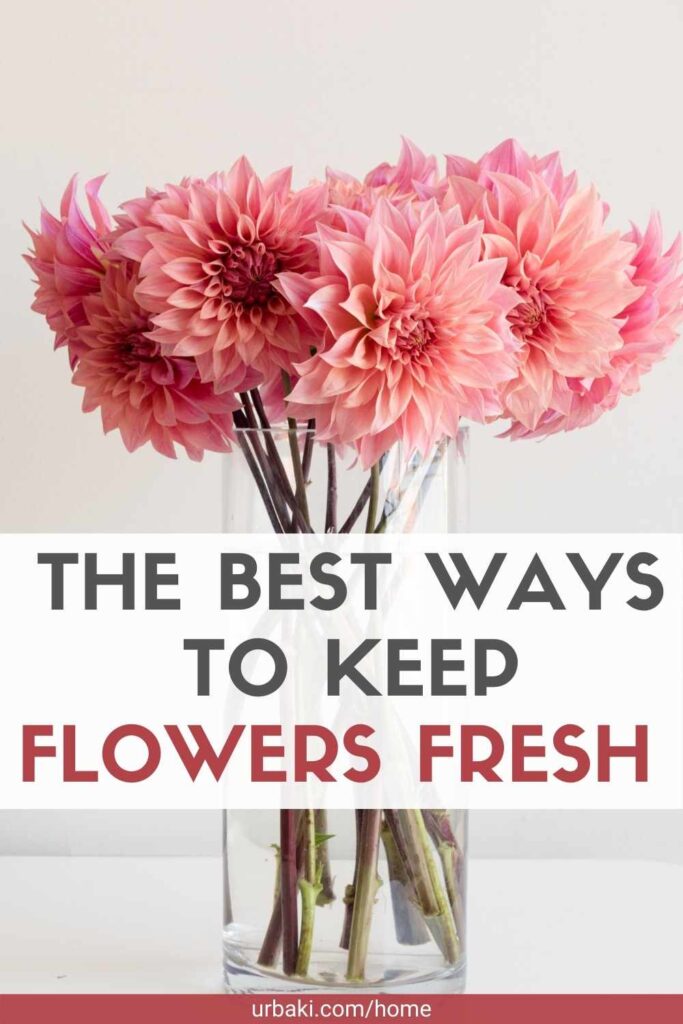 The Best Ways to Keep Your Flowers Fresh