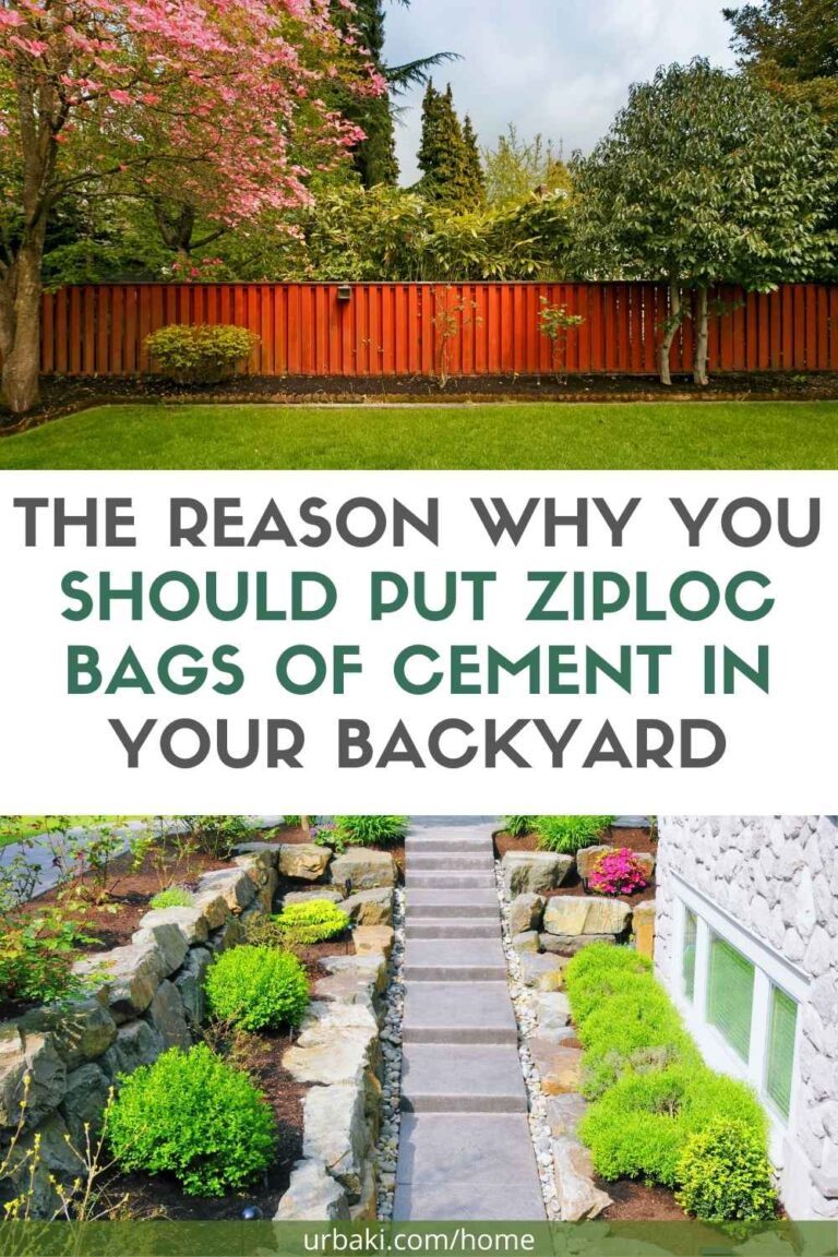 The Reason Why You Should Put Ziploc Bags of Cement In Your Backyard