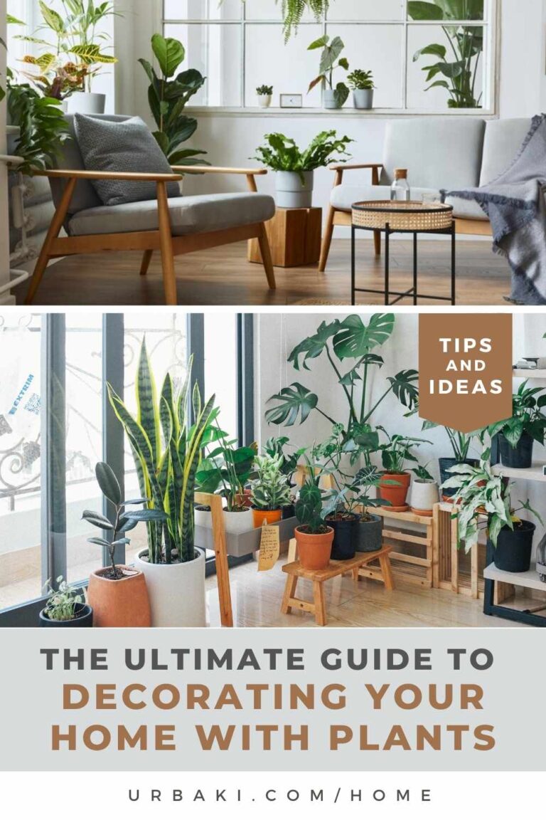 The Ultimate Guide to Decorating Your Home with Plants