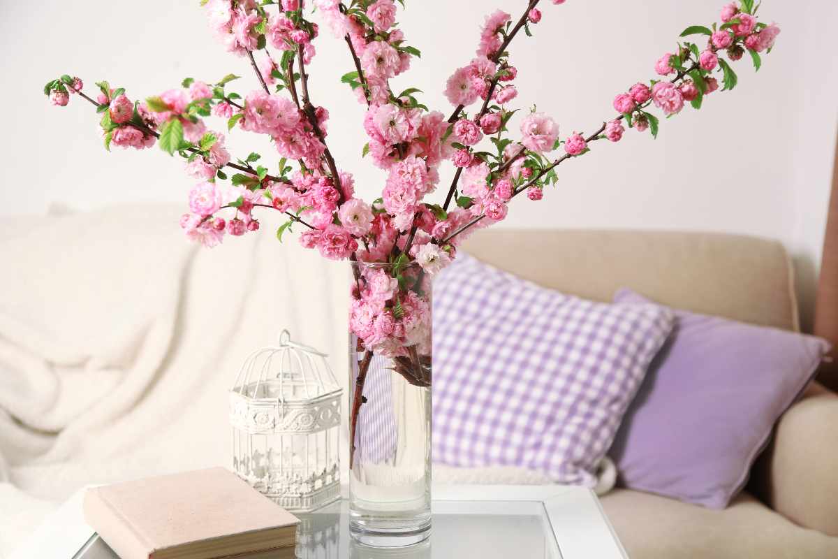 Budget Friendly Spring Decor Transforming Your Home For The Season