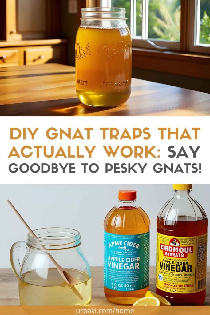 View of DIY Gnat Traps That Actually Work: Say Goodbye to Pesky Gnats!