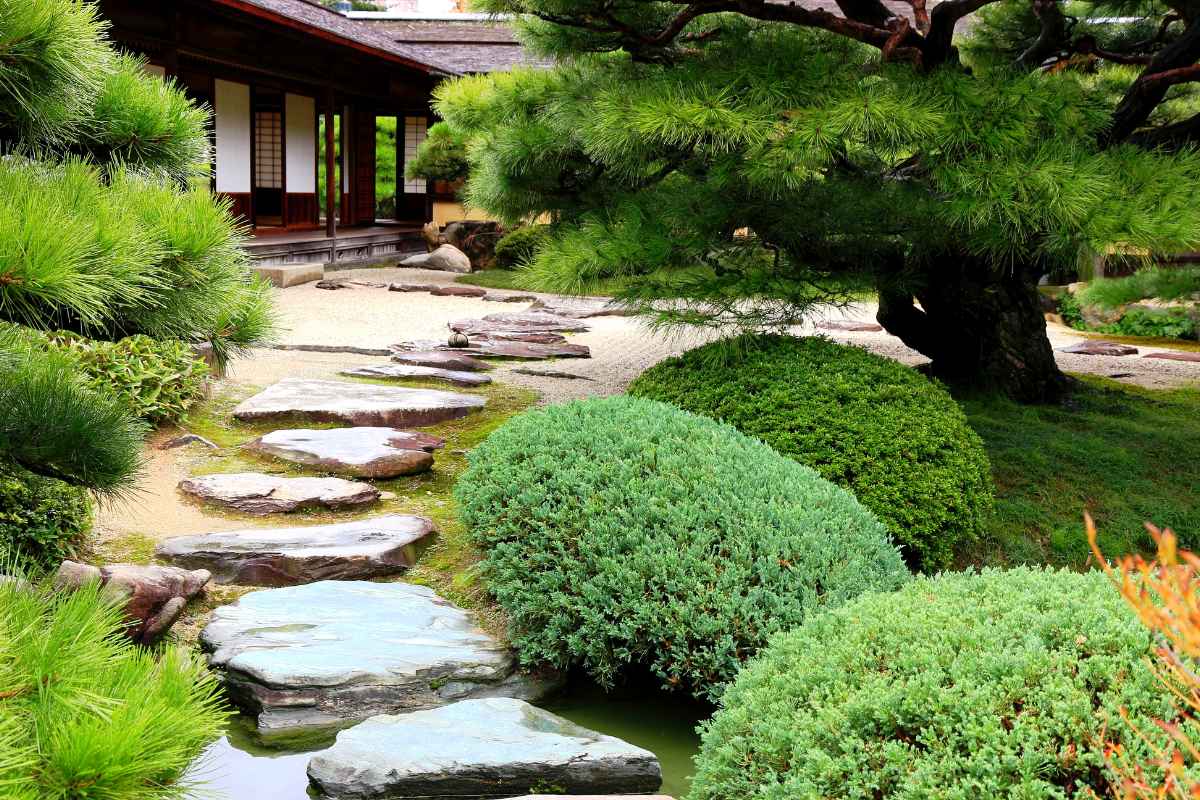 How to Create a Zen Garden in Your Backyard