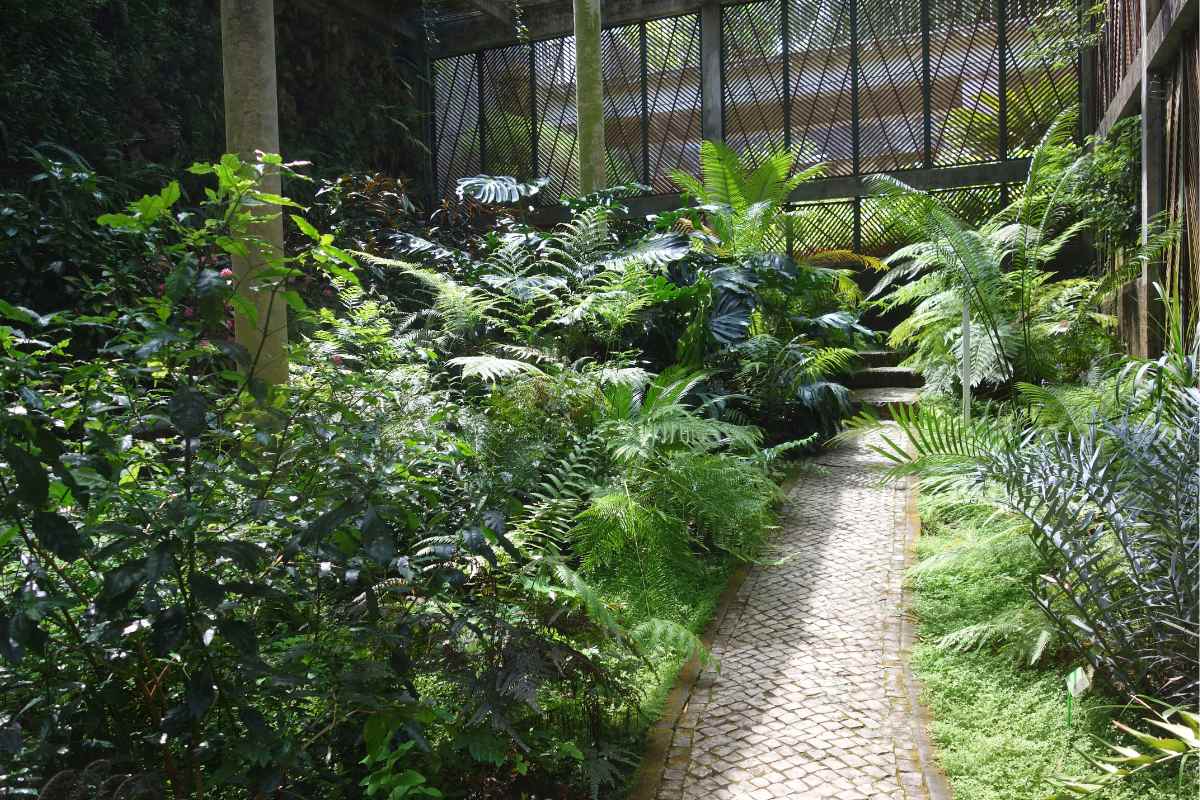 Landscape Ideas low-cost garden path design