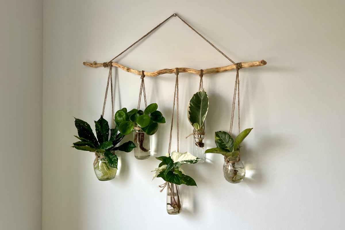 plant wall decor minimalist