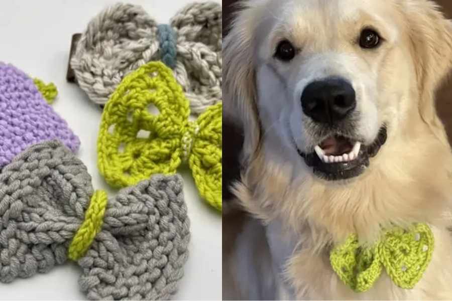 diy pet bow tie