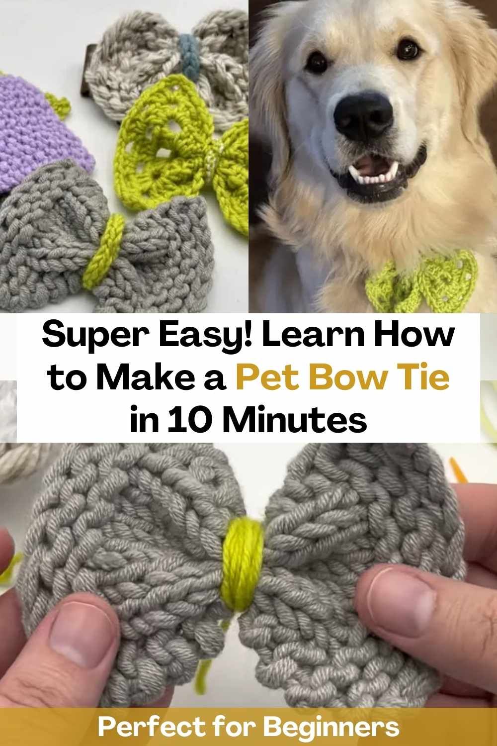 diy pet bow tie