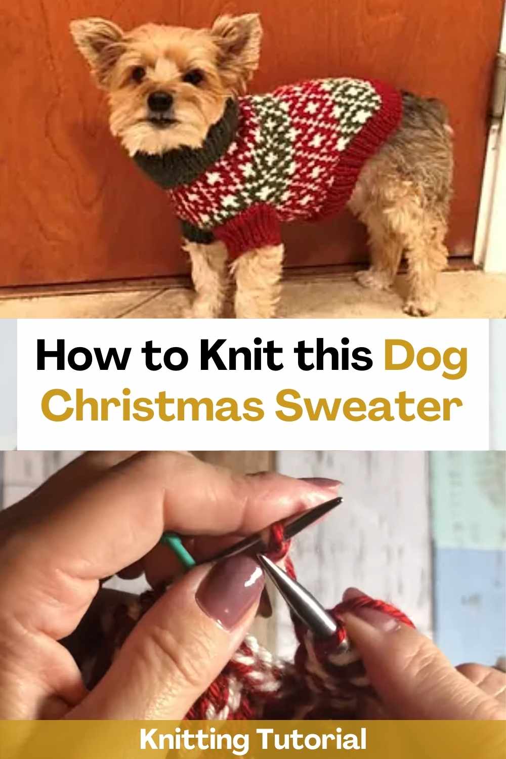 How to Knit this Dog Christmas Sweater