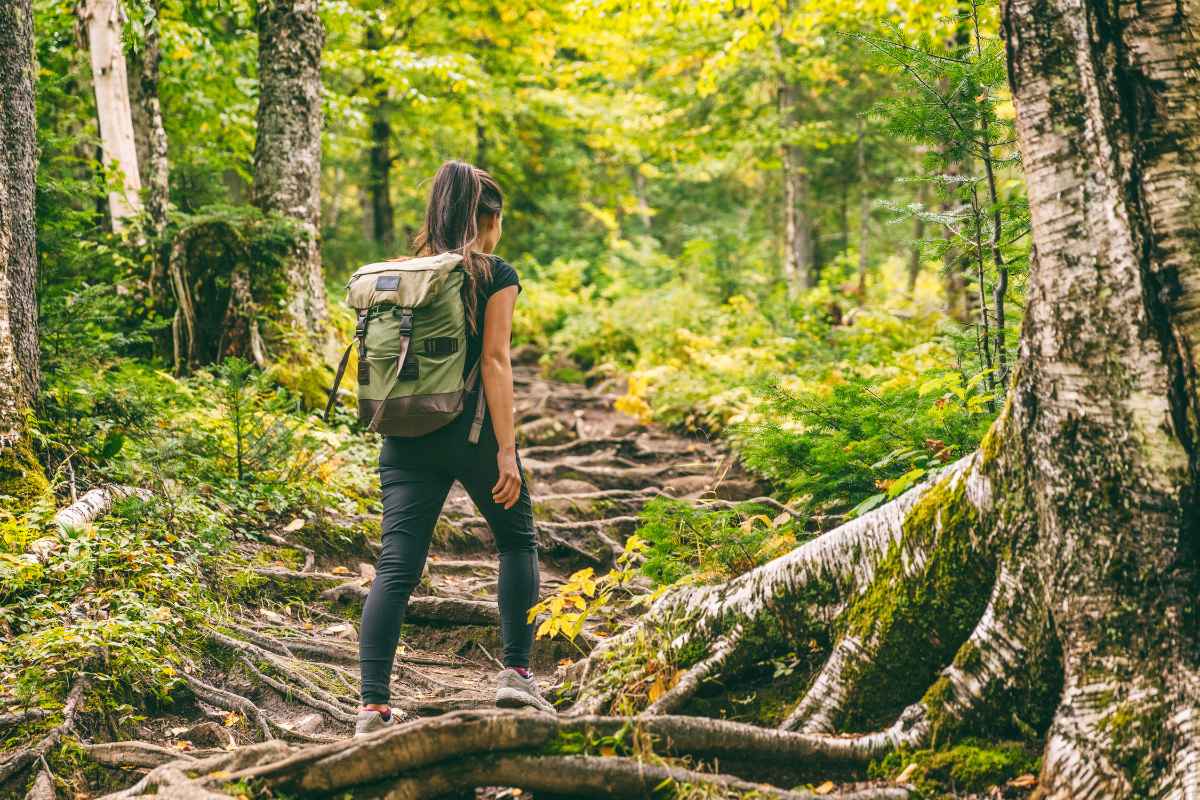 The Pros and Cons of Hiking Alone vs. with a Group