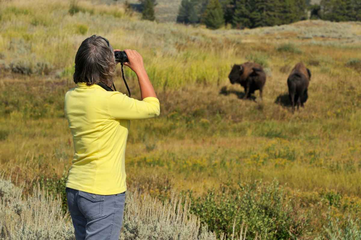 What Are the Best Practices for Responsible Wildlife Watching