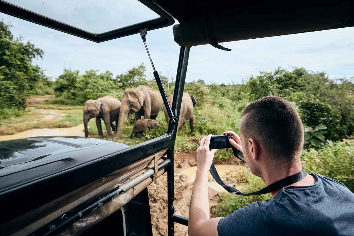What Are the Best Practices for Responsible Wildlife Watching
