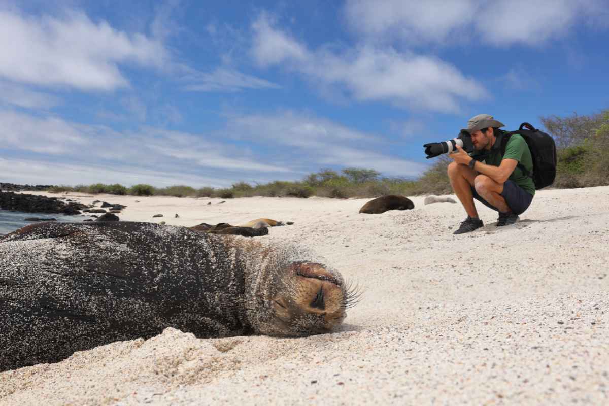 What Are the Best Practices for Responsible Wildlife Watching