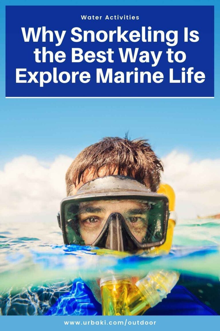 Why Snorkeling Is the Best Way to Explore Marine Life - Urbaki Outdoor