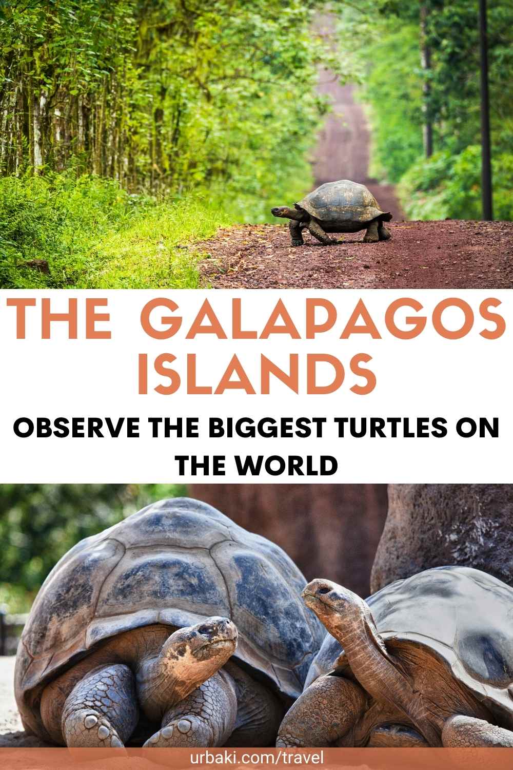 GALAPAGOS
